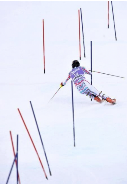 World Cup Slalom Ski Racer